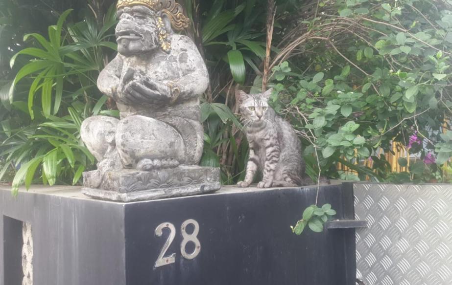 Cideres Holiday Home Majalengka Bagian luar foto